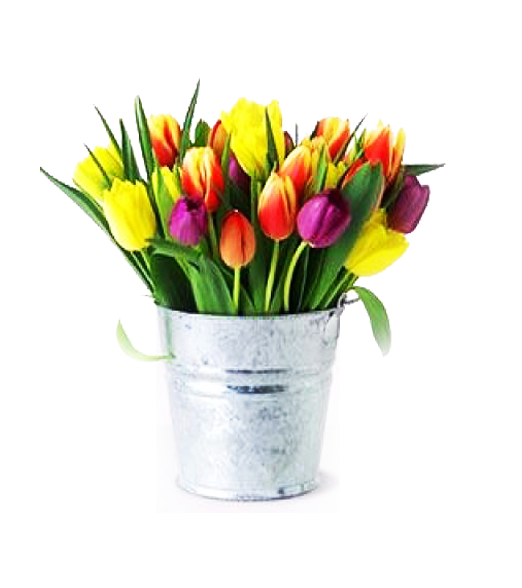 Florero Galvanizado de 30 Tulipanes Primaveral